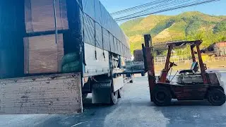 Cách gửi hàng nhanh chóng mùa tết