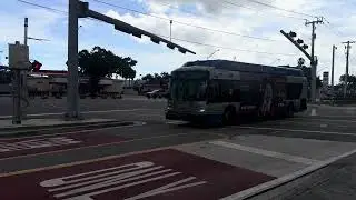 Crossing Gate For Buses, Not Trains. Miami-Dade Transit Bus 602
