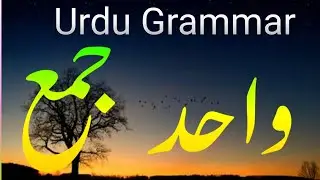 Urdu Qawaid #urdu_grammar||  Urdu WAHID AND JAMA || WAHID AND JAMA ||
