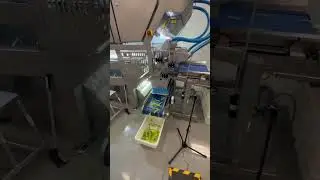 Tomra 5B - optical sorter