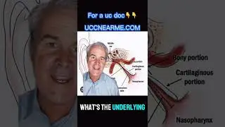 Inner ear pressure and neck injury | Sarasota and Tampa bay
