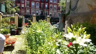 Carmen's Garden  New York City