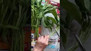 fresh spinach