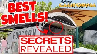 Top 7 SMELLS of Disney California Adventure | Which Smell Does Disney Use To Make You Buy More?