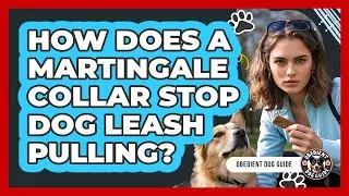 How Does A Martingale Collar Stop Dog Leash Pulling? - Obedient Dog Guide