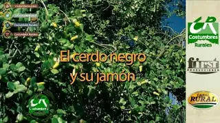 El cerdo negro y su jam&oacute;n - CR#842