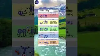 The Motivated Edge Inspiring IELTS Success Stories