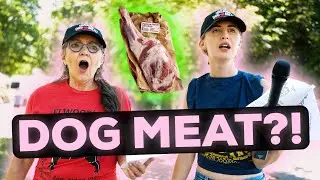 We Tried Selling Dog Meat in the Park (Social Experiment)