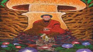 Terence McKenna: The Importance Of Mushrooms For Humanity (Full Lecture)