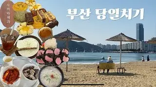 뚜벅이 부산 당일치기 먹방여행🚅 | 톤쇼우 남포점, 서희와제과, 빨간떡볶이, 해리단길