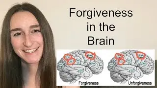 The Nueroscience of Forgiveness
