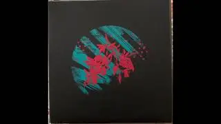 Between The Buried And Me &ndash; The Silent Circus vinyl rip