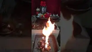 Mahamrutyunjaya Homam for peace to Humanity