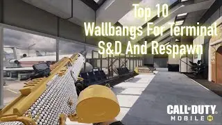 10 Wallbangs Pro Players Dont Want You To Remember (LMG Terminal Edition)