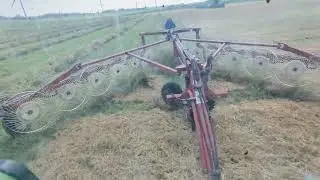 Wet summer