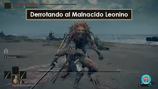 Derrotando al Malnacido Leonino - Elden Ring