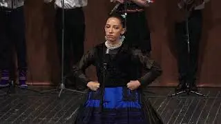 Zonska smotra folklornih ansambala Srema