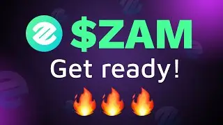 $ZAM Token in Numbers
