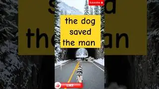 dog saved the man #animal welfare #animals #rescue animals #ai #ai animal rescue story