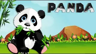 Panda Song for Kids | Learn all about panda | Animal Songs for Kids #animalsong