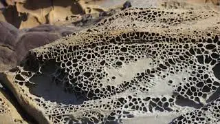 Bean Hollow Beach Geological Gallery