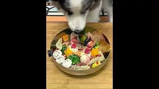 What to eat for a meal of a 40-jin Border Collie? - Colorful and beautiful meals! 🌸 #Border Collie