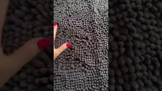 From muddy paws ➝ spotless floors in seconds ⏱️ #shorts