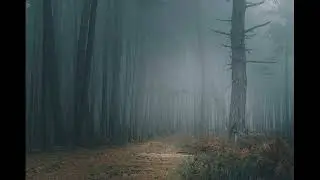 ZAPERDASH - DEEP SILENT FART