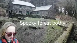 Exploring Coed Y Brenin Forest