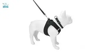 Best Pet Supplies Voyager Dog Collar Safety Clip with Dual Clasps