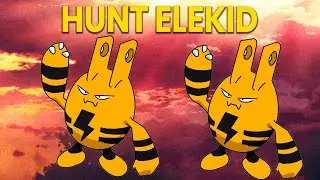 PXG ▶ Hunt Elekid NW 🏹 - Fuchsia Resistance  - 300+