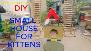 DIY - Super cool tips from pvc pipes _HOUSE FOR CAT - BHK_DIY At Home #diy #pvc #tips #cat