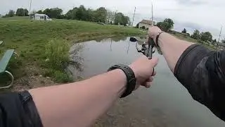 Walk Around the Community Pond - Full Episode