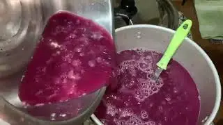 GRAPES WINE MAKING | Merlot wine | Pinoy wine makers | Davao wine making