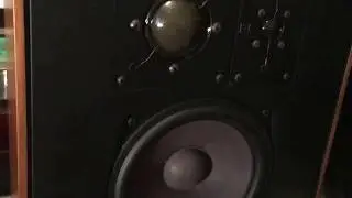 JBL 2800 и ADS L810 — последние винтажные находки