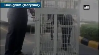 Forest department uses goat as bait to trap leopard hiding inside Maruti Suzuki's plant