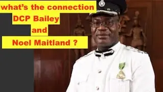 What's the connection with DCP fitz Bailey and Constable Noel maitland?