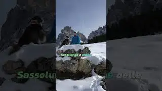 Escursione da Monte Pana al Rifugio Zallinger #doghiking #travel #mountains #snow #dolomites