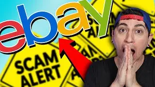 Can Pokémon Card Collectors Trust Ebay TCG Authentication Service?