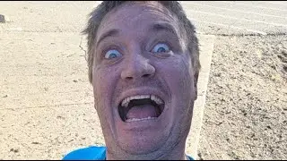 Like this video if you love dogs
