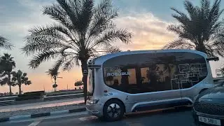 Медовый Месяц в UAE 🇦🇪 all inclusive В Эмиратах / Пустыня, верблюды И СТРАНА БУДУЩЕГО 