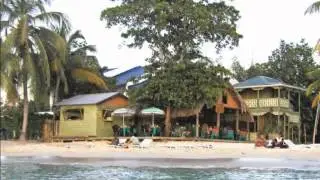 Blue Dolphin Cafe