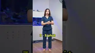 Huyệt Gi&uacute;p Ngủ Ngon Tới S&aacute;ng #bacsihoa #bshoa #shortsvideo #songkhoe247