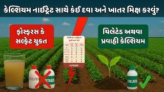 કેલ્શિયમ નાઈટ્રેટ સાથે કઈ દવા અને ખાતર મિક્સ કરવું? ખેડૂતો માટે સંપૂર્ણ માર્ગદર્શન