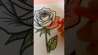 🌹 Rose Coloring #coloring #rose #shorts