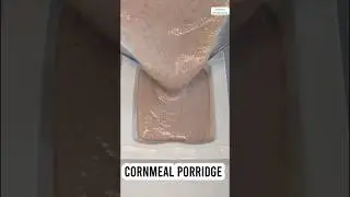 CORNMEAL PORRIDGE | Easy Breakfast Idea #food #breakfast #corn #cooking #shorts #akara #foodie #meal