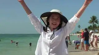 Turtle Hospital