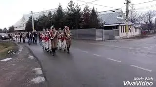 Arnăuții din Ingăresti , Jud. Neamț 2017-2018