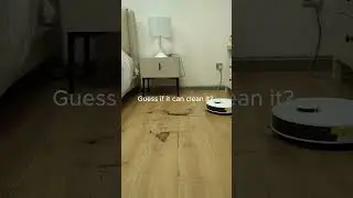 Guess if it can clean it?#lefant #shorts #robotvacuum #cleanwithme #floorcleaning #cani #smarthome