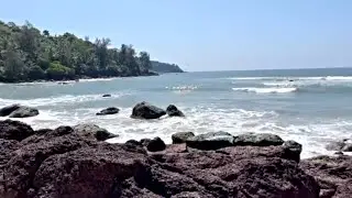 Galgibaga Beach Turtle beach🐢Goa forest department Galgibag river estuary🏖️South Goa Galgibag Beach